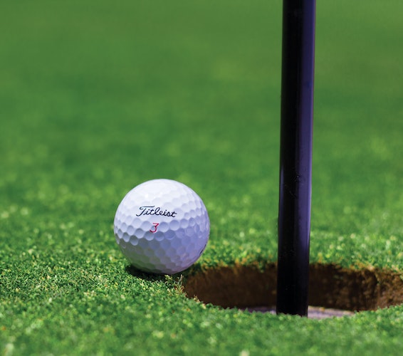 Image of golf course